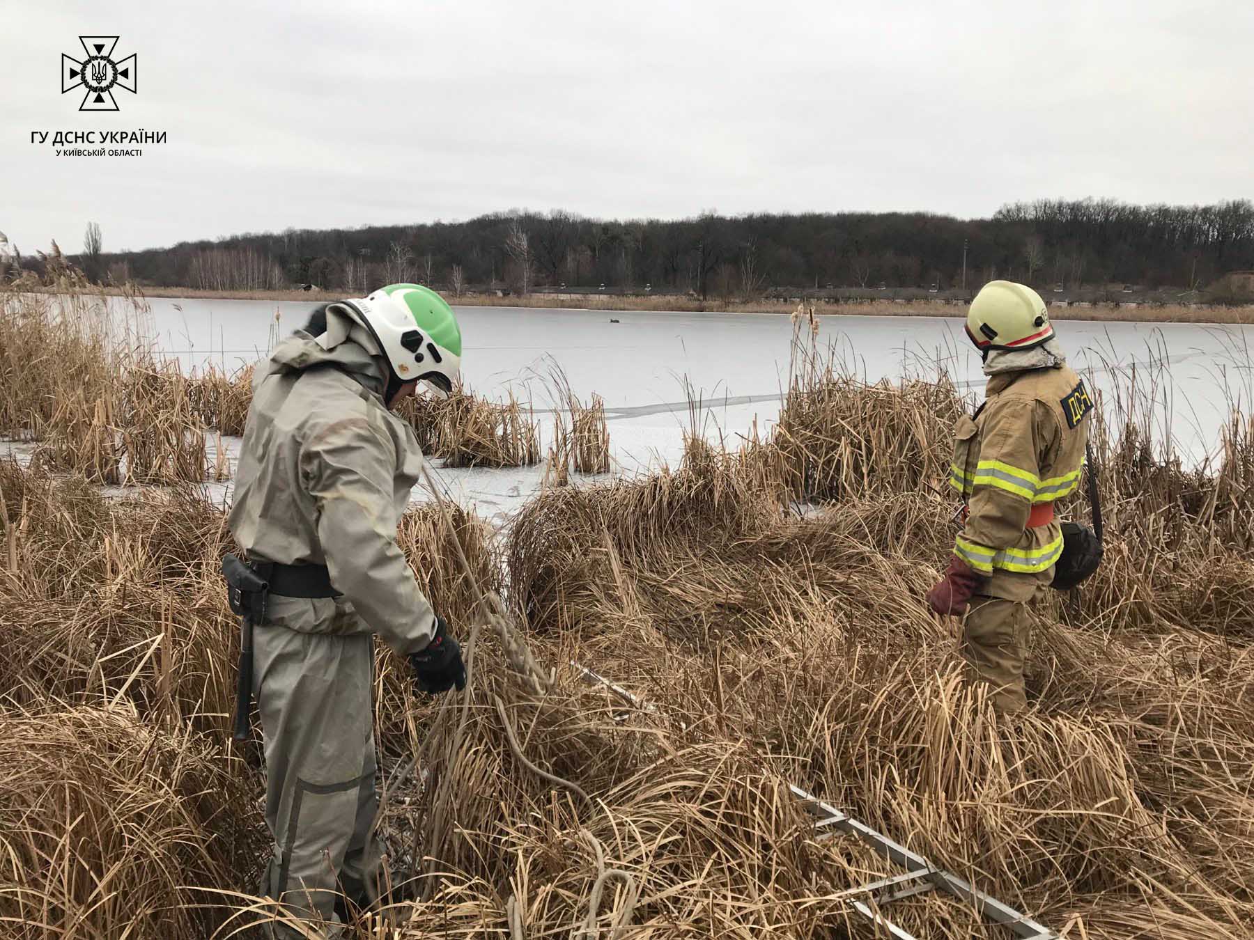 Под Киевом спасатели достали маленького олененка из ледяной ловушки (фото)