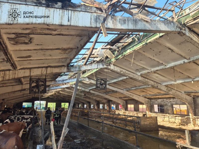 Russian forces attack enterprise in Kharkiv region: Four injured reported