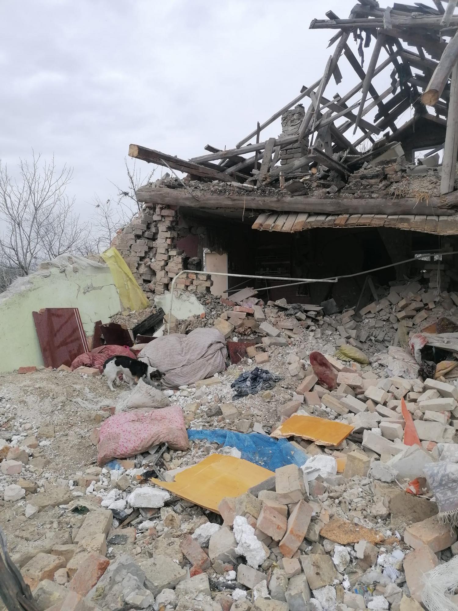 На руїнах зруйнованого будинку у Львівській області собака шукає господарів: зворушливі фото