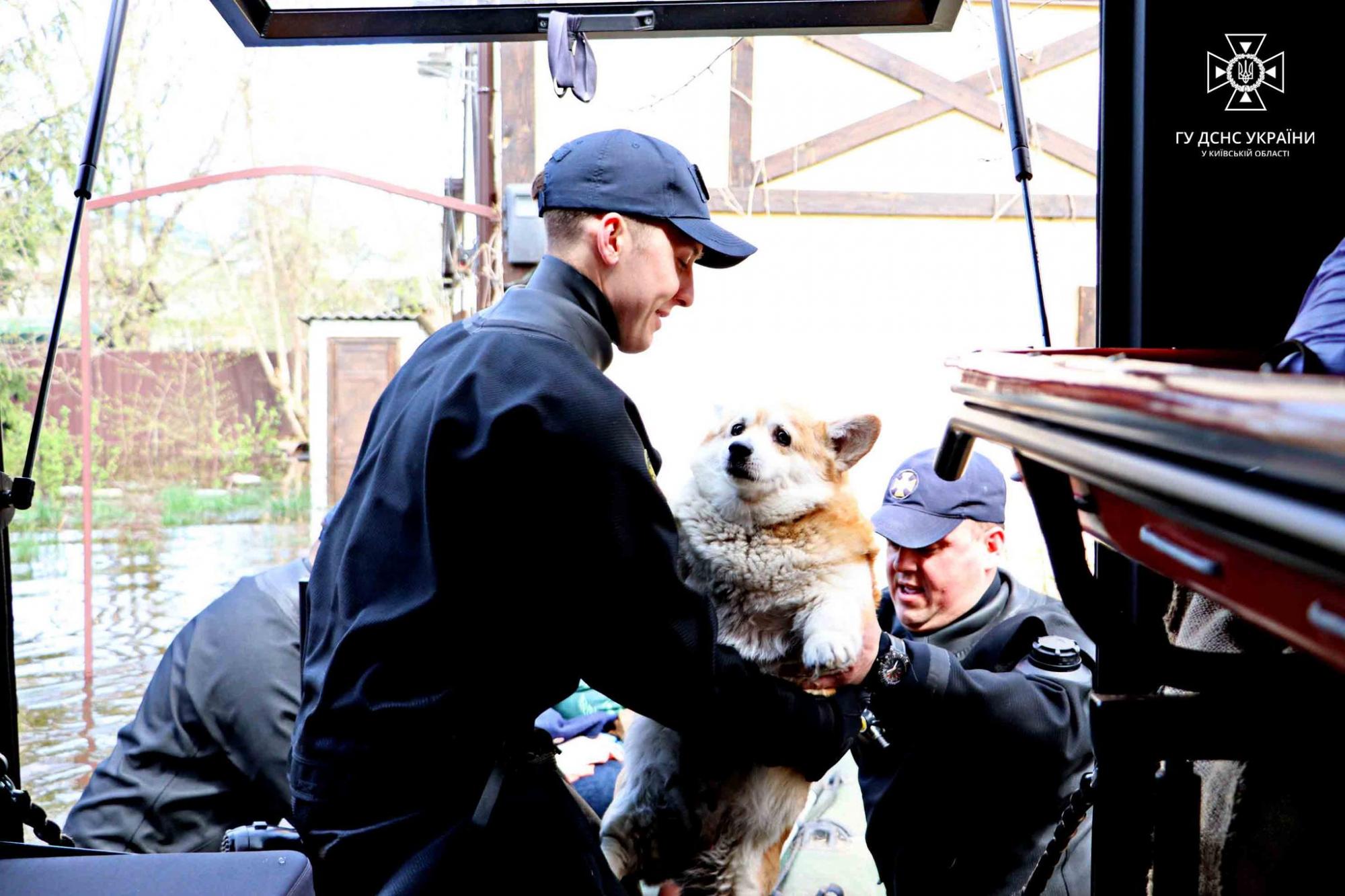 В ГСЧС показали, как героически борются с последствиями &quot;большой воды&quot; в Киеве (фото и видео)