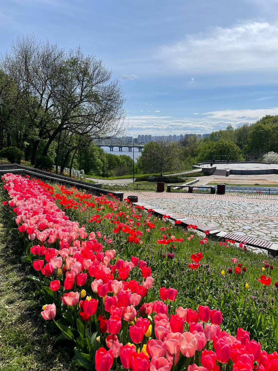 В Києві розцвіло море тюльпанів: фото неймовірної краси