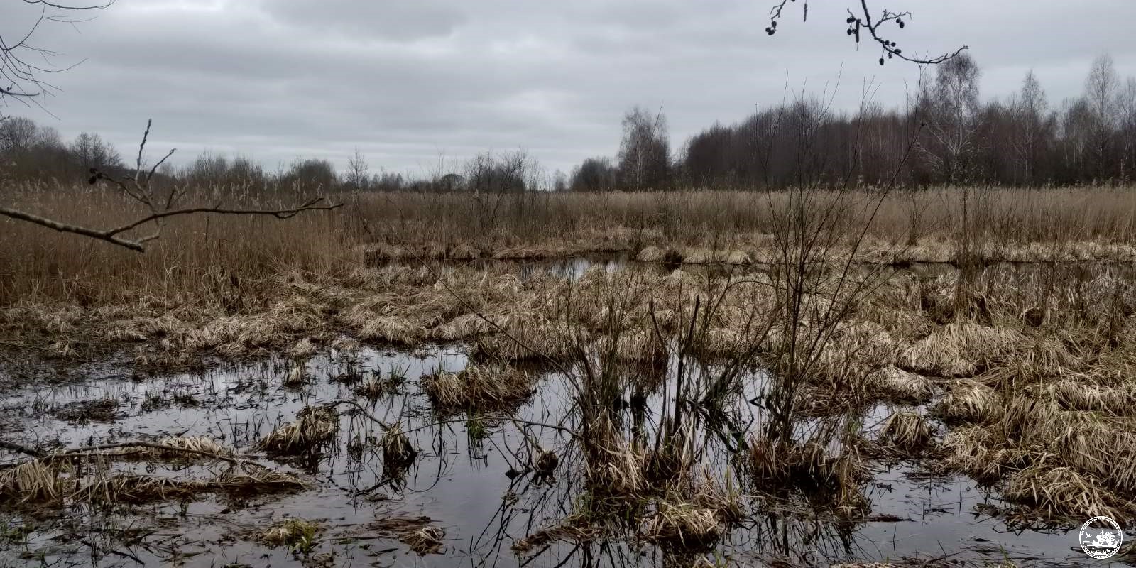 Большая вода подтапливает Чернобыльскую зону. Что об этом  говорят экологи?