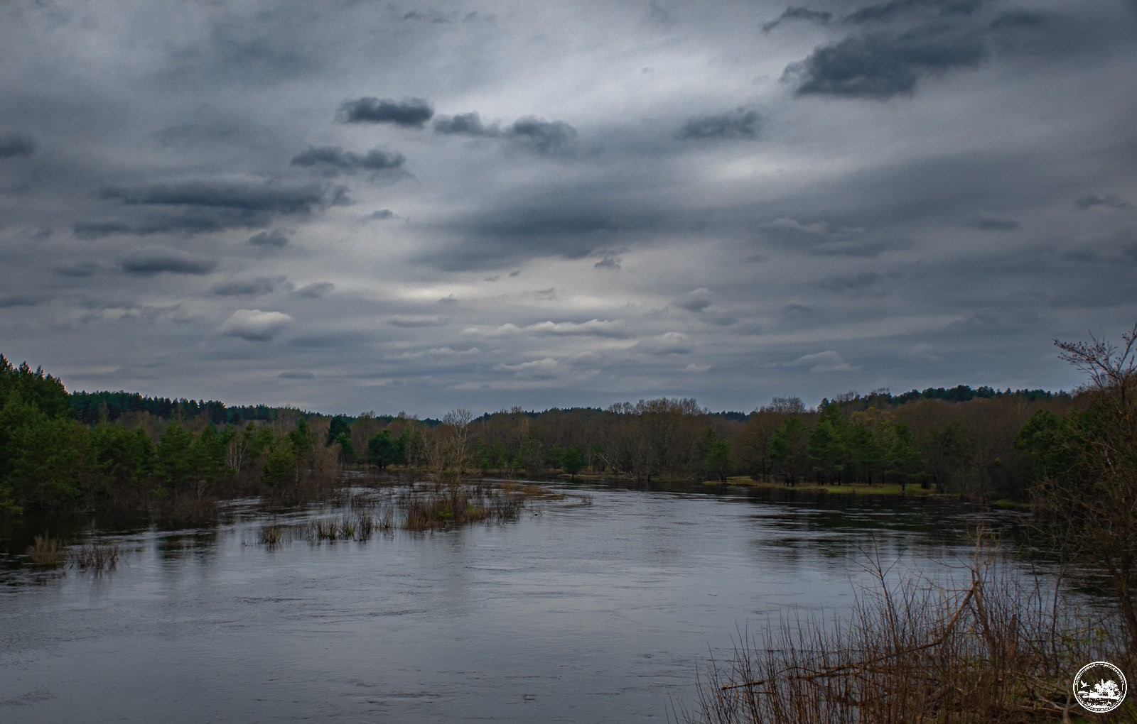 Большая вода подтапливает Чернобыльскую зону. Что об этом  говорят экологи?