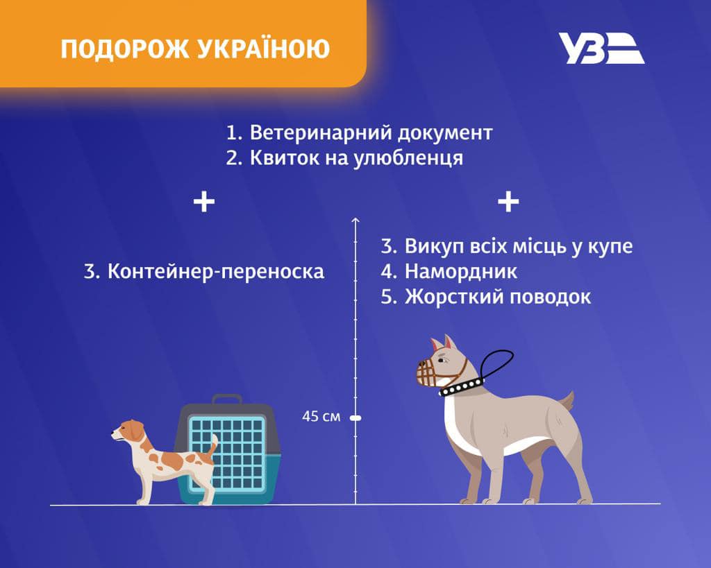 Як подорожувати з домашніми тваринами поїздами в Україні і при виїзді за кордон