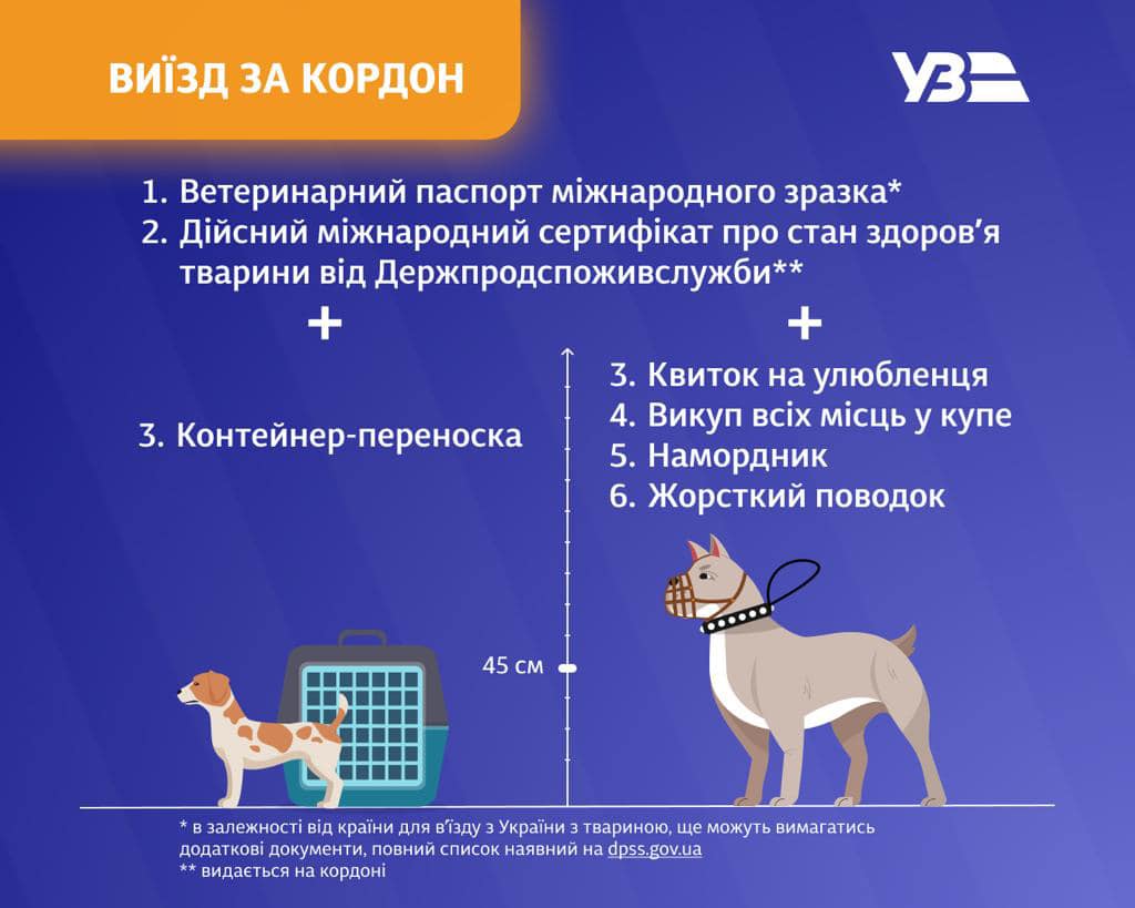 Як подорожувати з домашніми тваринами поїздами в Україні і при виїзді за кордон
