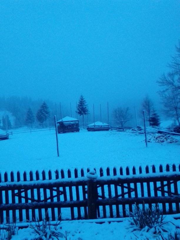 Украинское село засыпало снегом в разгар весны: фото аномального явления