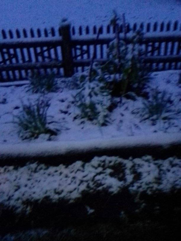 Українське село засипало снігом у розпал весни: фото аномального явища