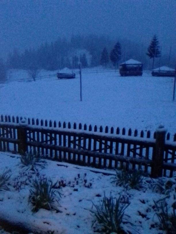 Українське село засипало снігом у розпал весни: фото аномального явища