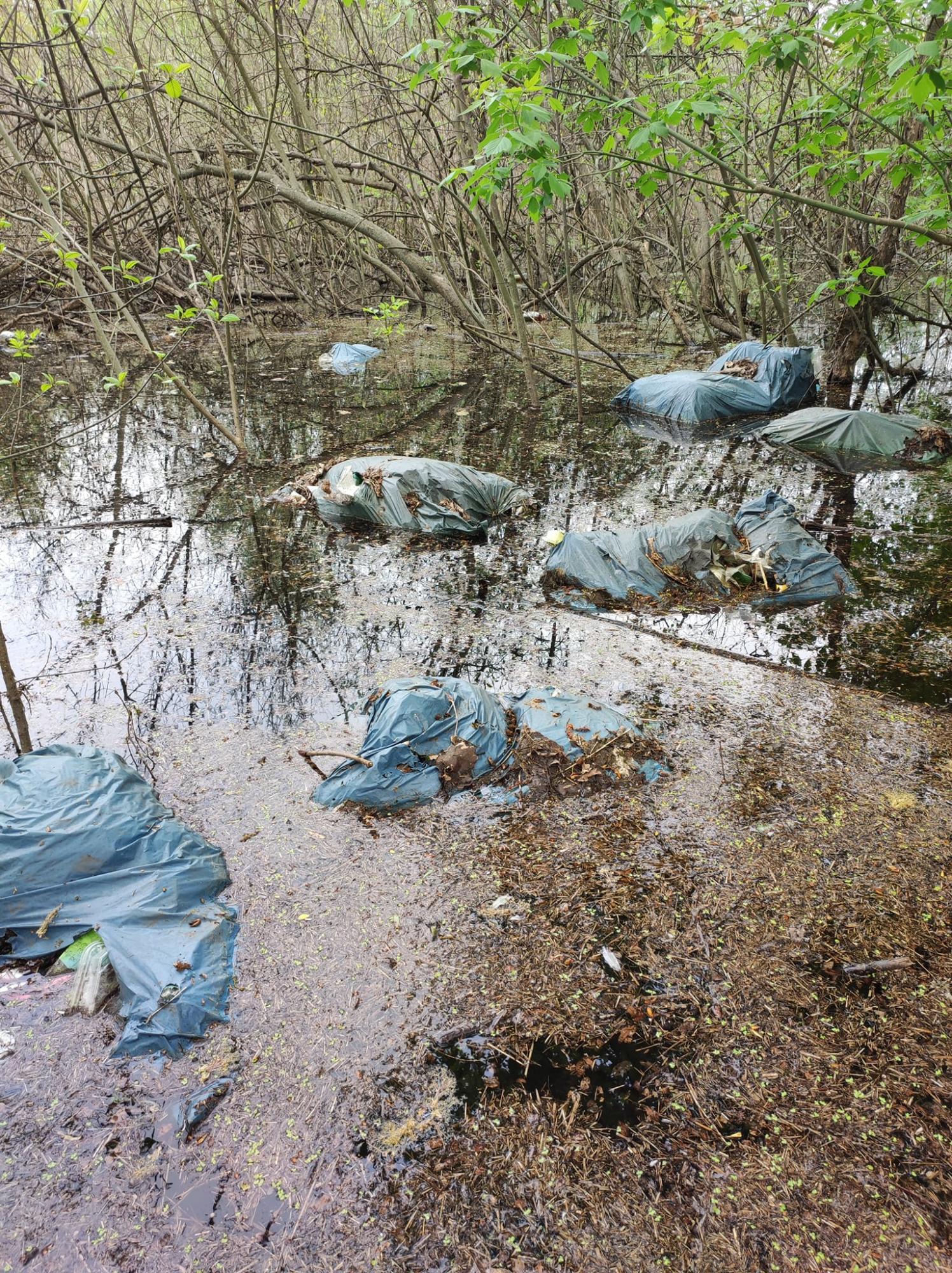 Жуків острів потопає у смітті. Дивіться, на що в Києві перетворили природний заказник (фото)