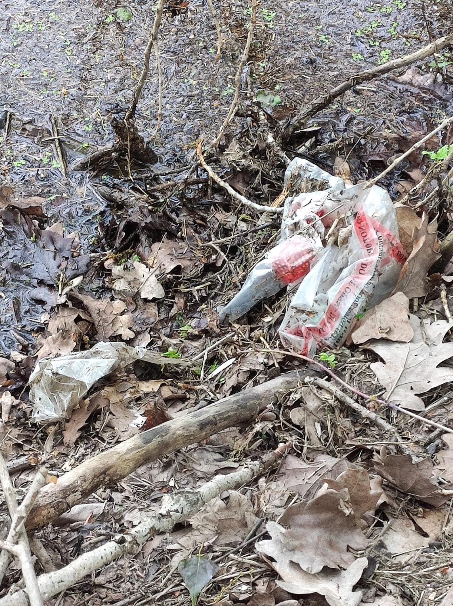 Жуків острів потопає у смітті. Дивіться, на що в Києві перетворили природний заказник (фото)