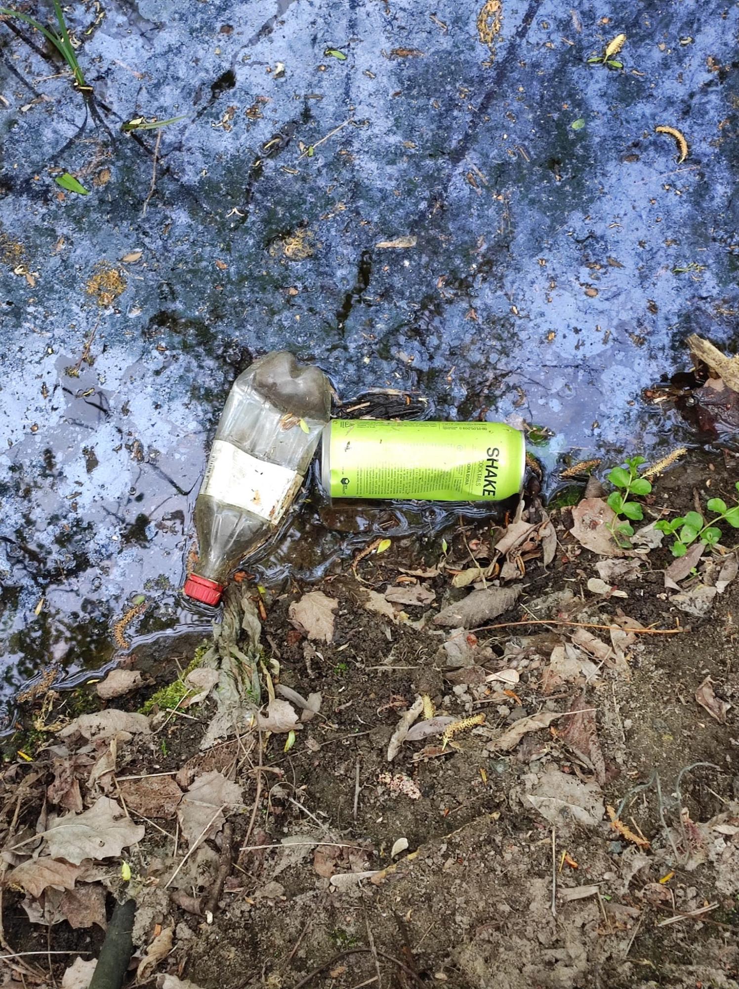 Жуків острів потопає у смітті. Дивіться, на що в Києві перетворили природний заказник (фото)