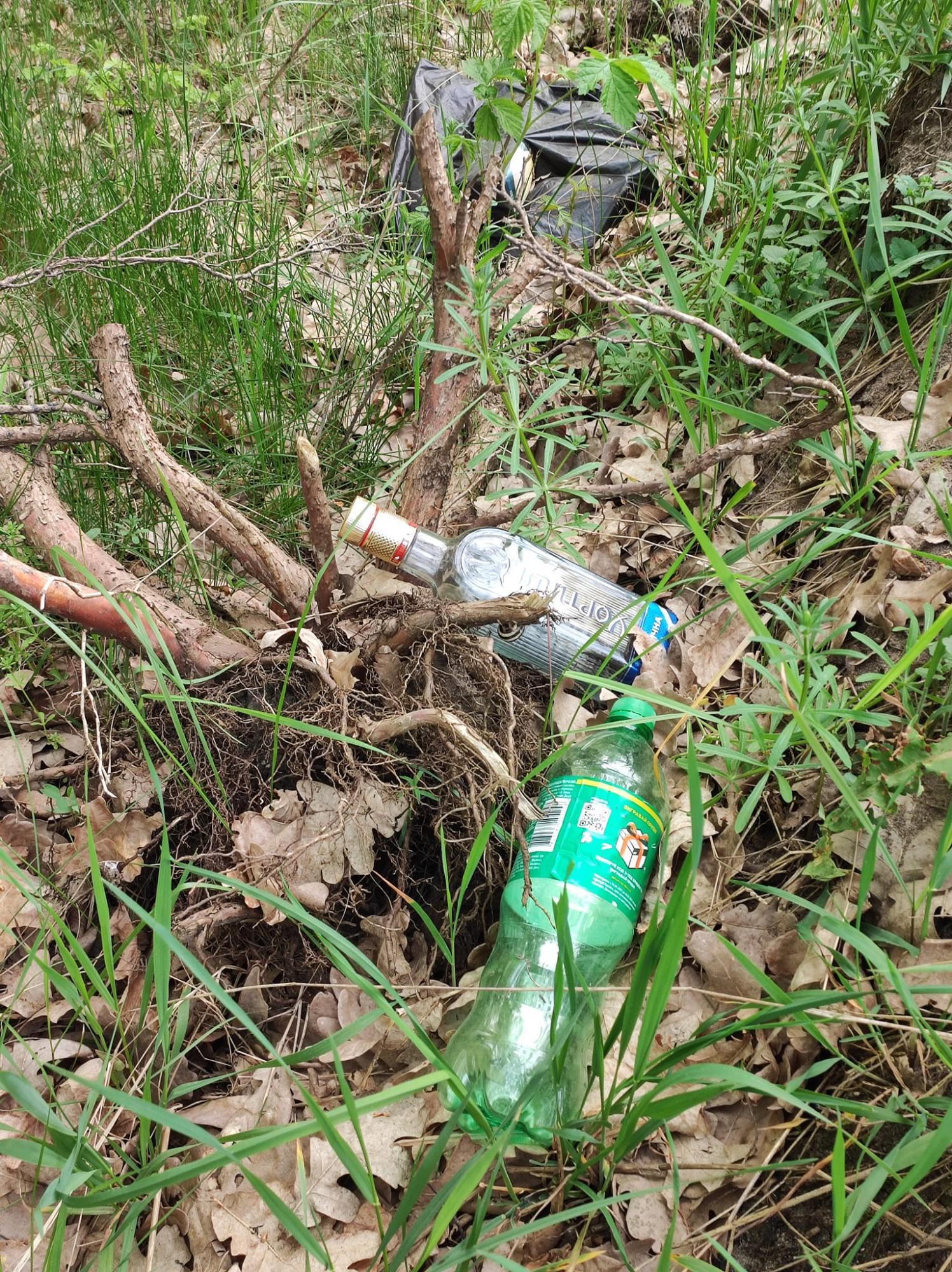 Жуків острів потопає у смітті. Дивіться, на що в Києві перетворили природний заказник (фото)