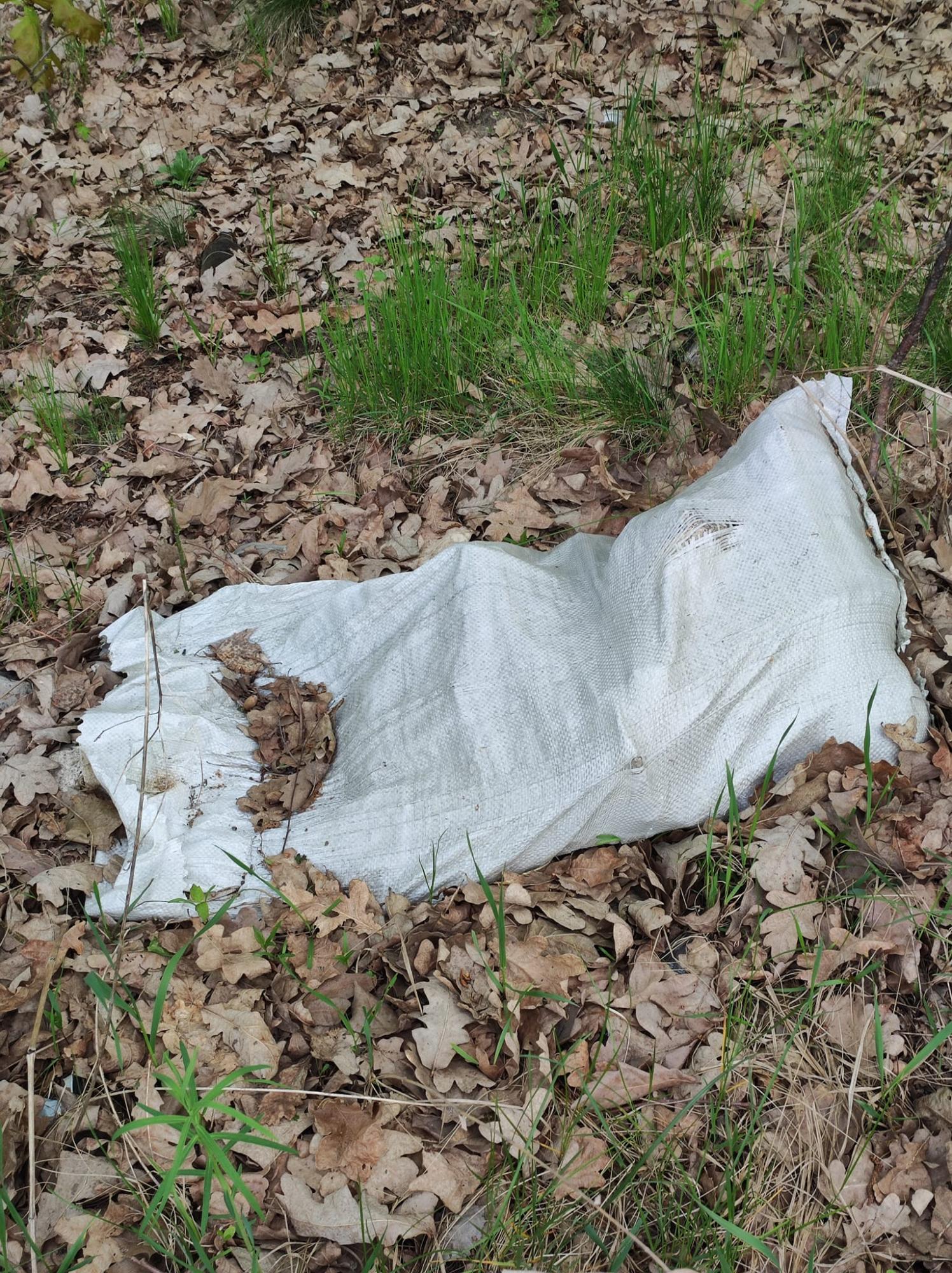 Жуків острів потопає у смітті. Дивіться, на що в Києві перетворили природний заказник (фото)