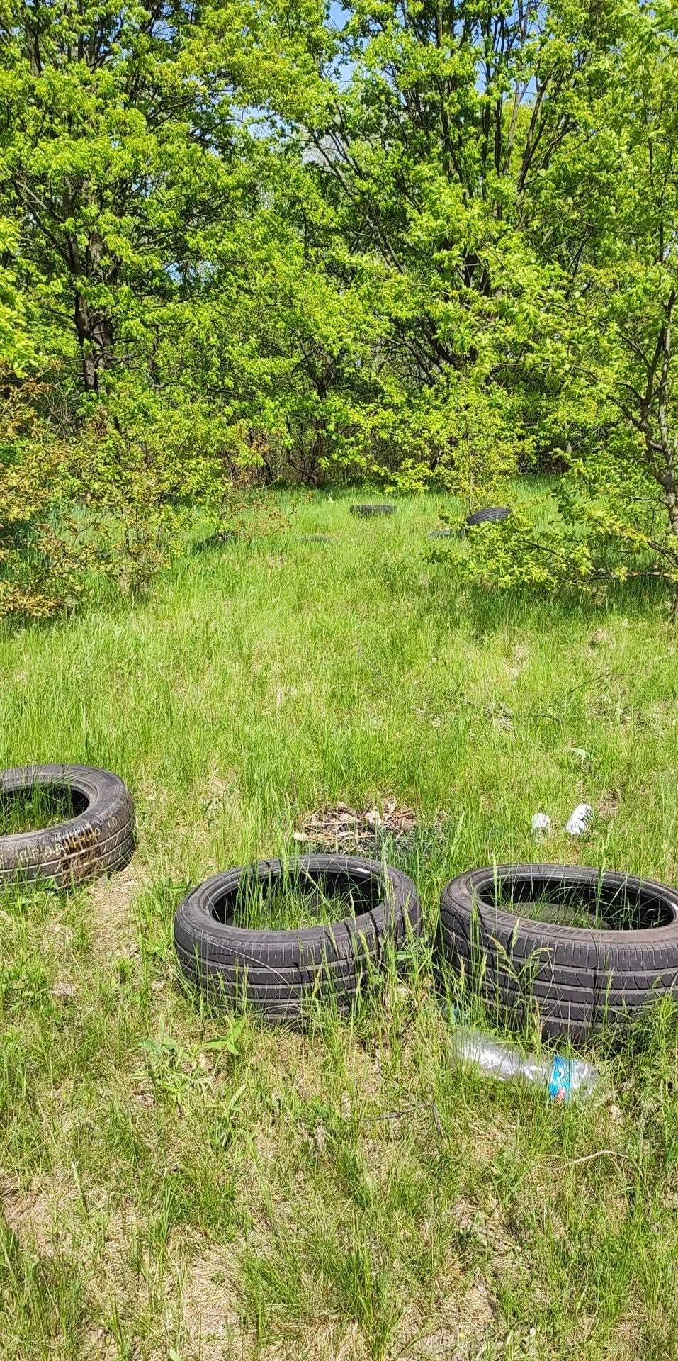 Жуків острів потопає у смітті. Дивіться, на що в Києві перетворили природний заказник (фото)
