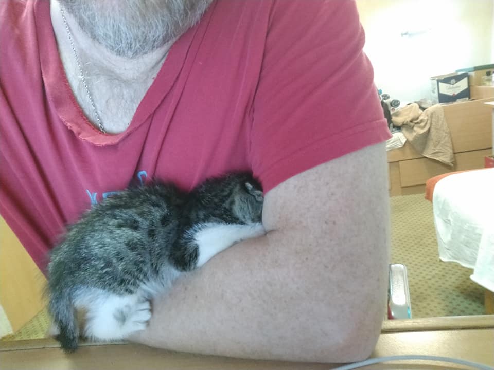 Українські моряки врятували кошеня, похованого під сотнями тонн металу у трюмі судна (фото)