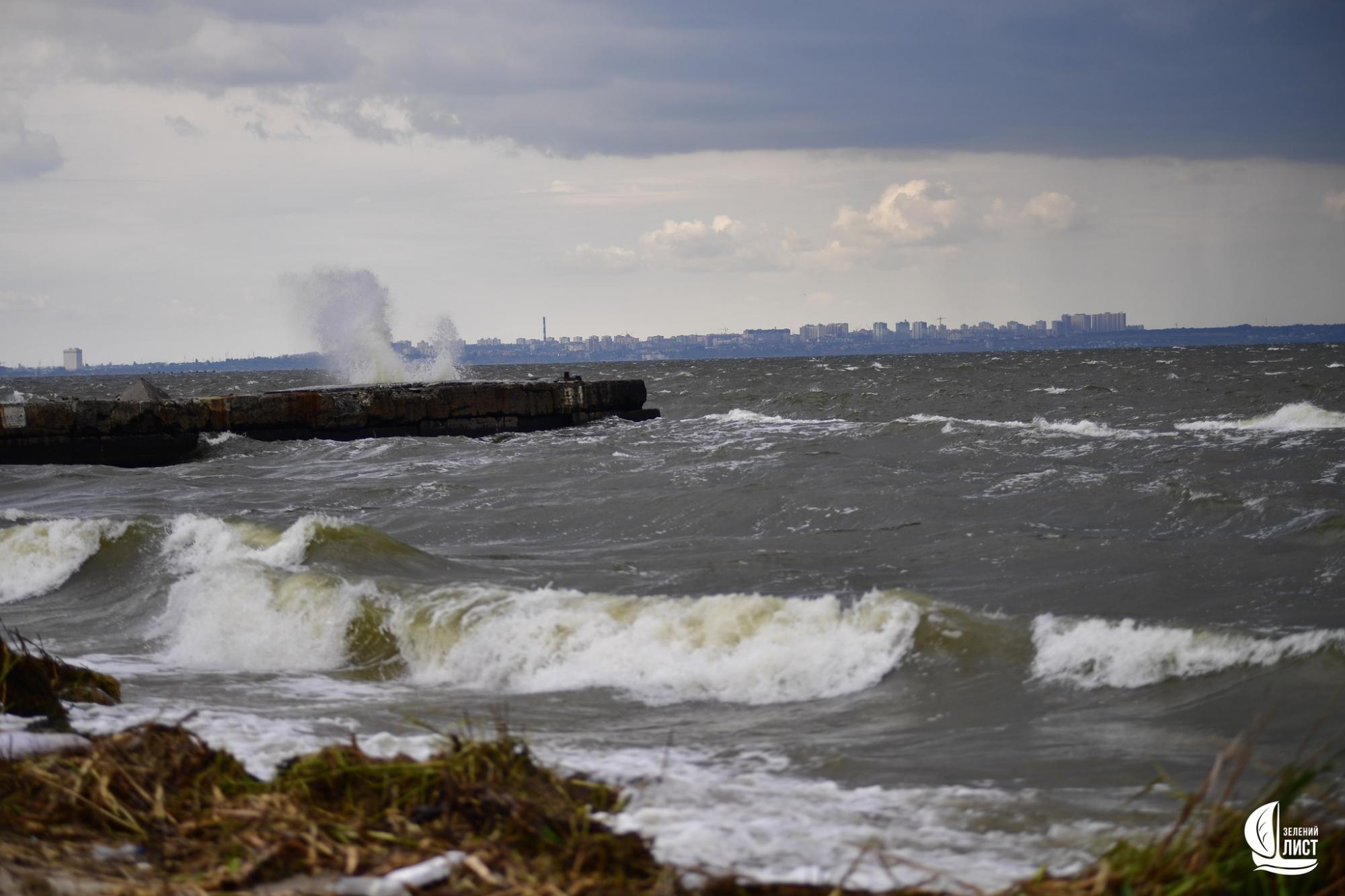 "Я такого моря ще не бачив": еколог про наслідки підриву Каховської ГЕС для Одеської затоки