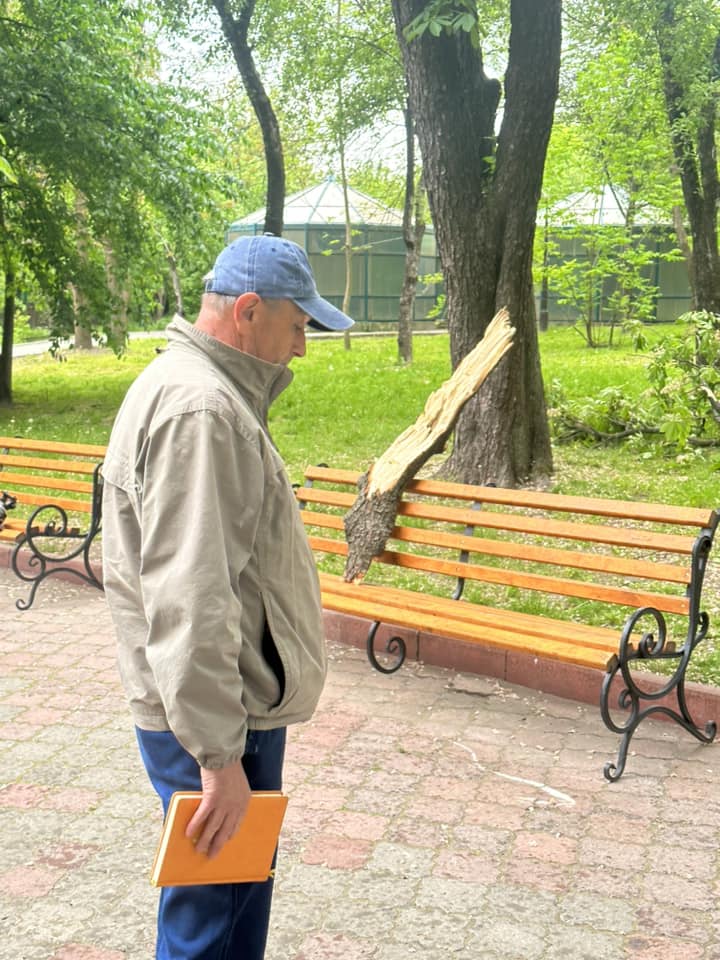 Тварин врятувало дерево: що зараз відбувається в київському зоопарку після падіння уламка (фото та відео)