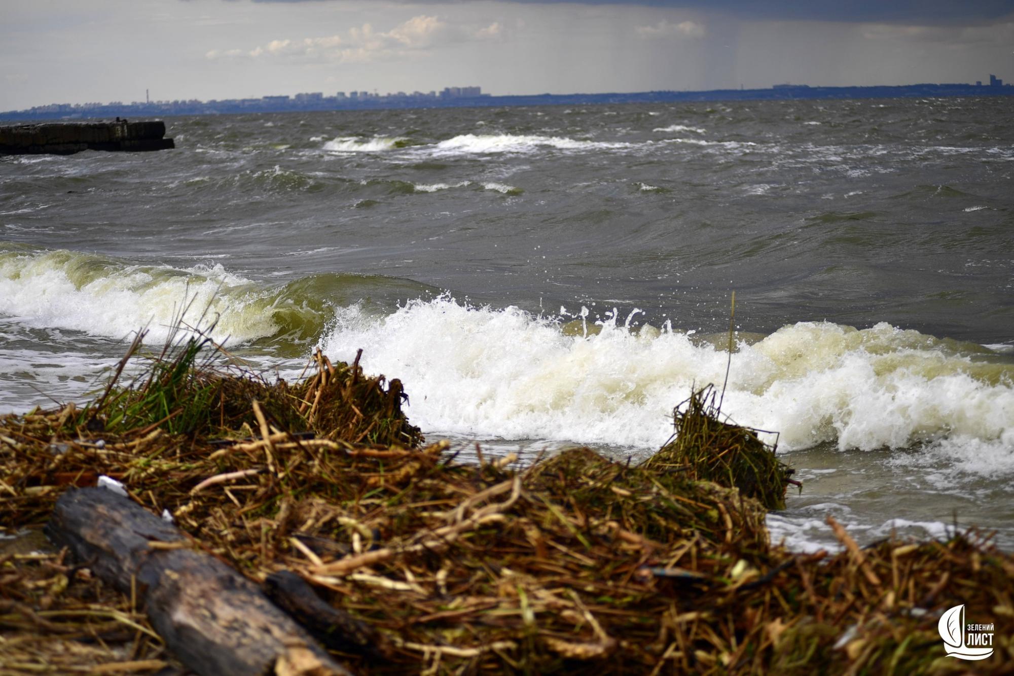 &quot;Я такого моря ще не бачив&quot;: еколог про наслідки підриву Каховської ГЕС для Одеської затоки