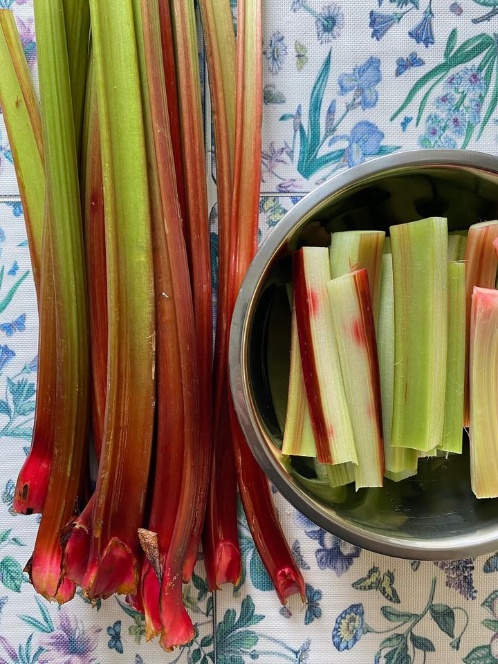 Із хрустким пісочним тістом і соковитою серединкою: рецепт дуже смачного пирога з ревеню