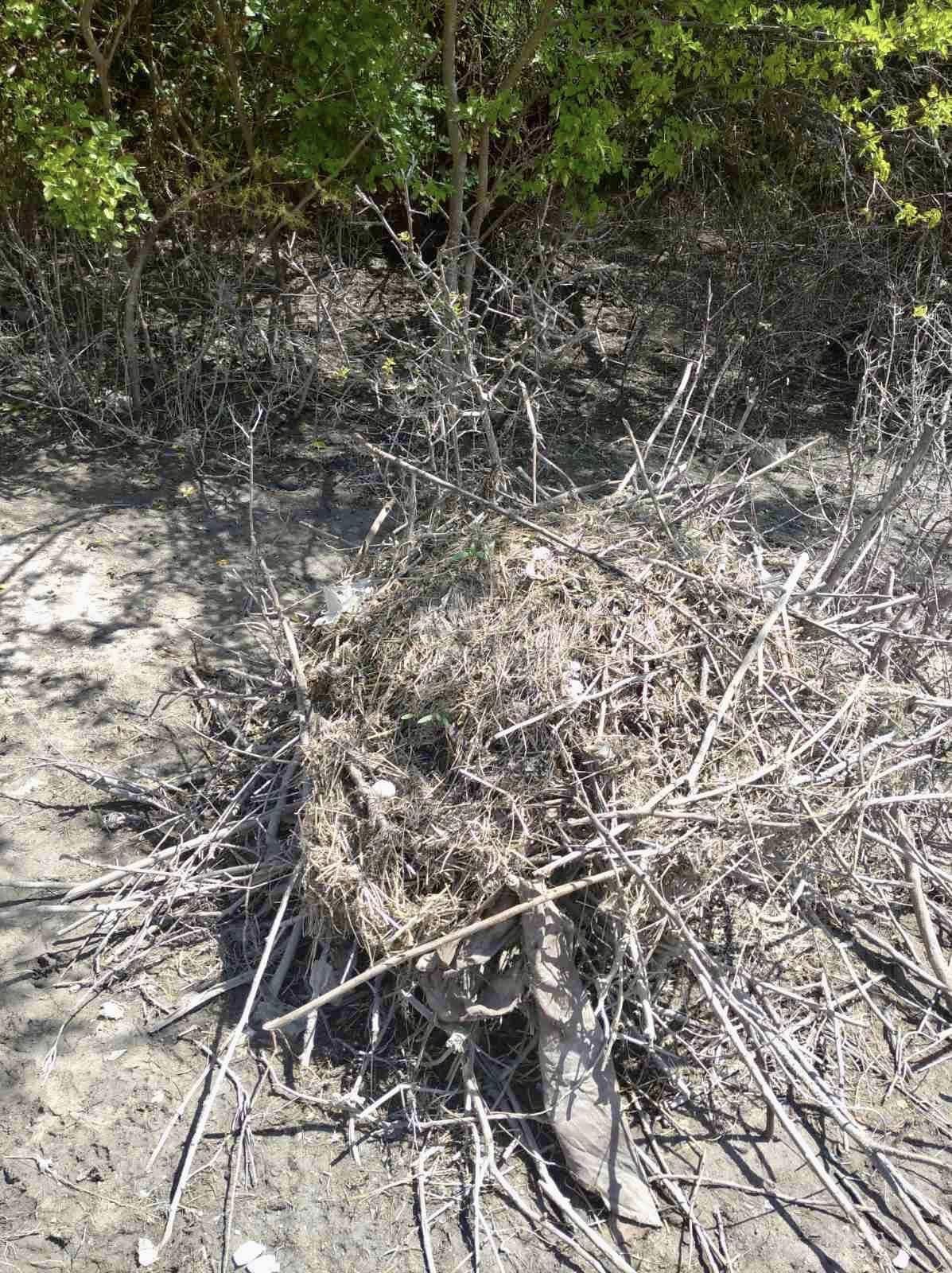 Так умирает природа Каховского водохранилища. В сети показали трагические фото