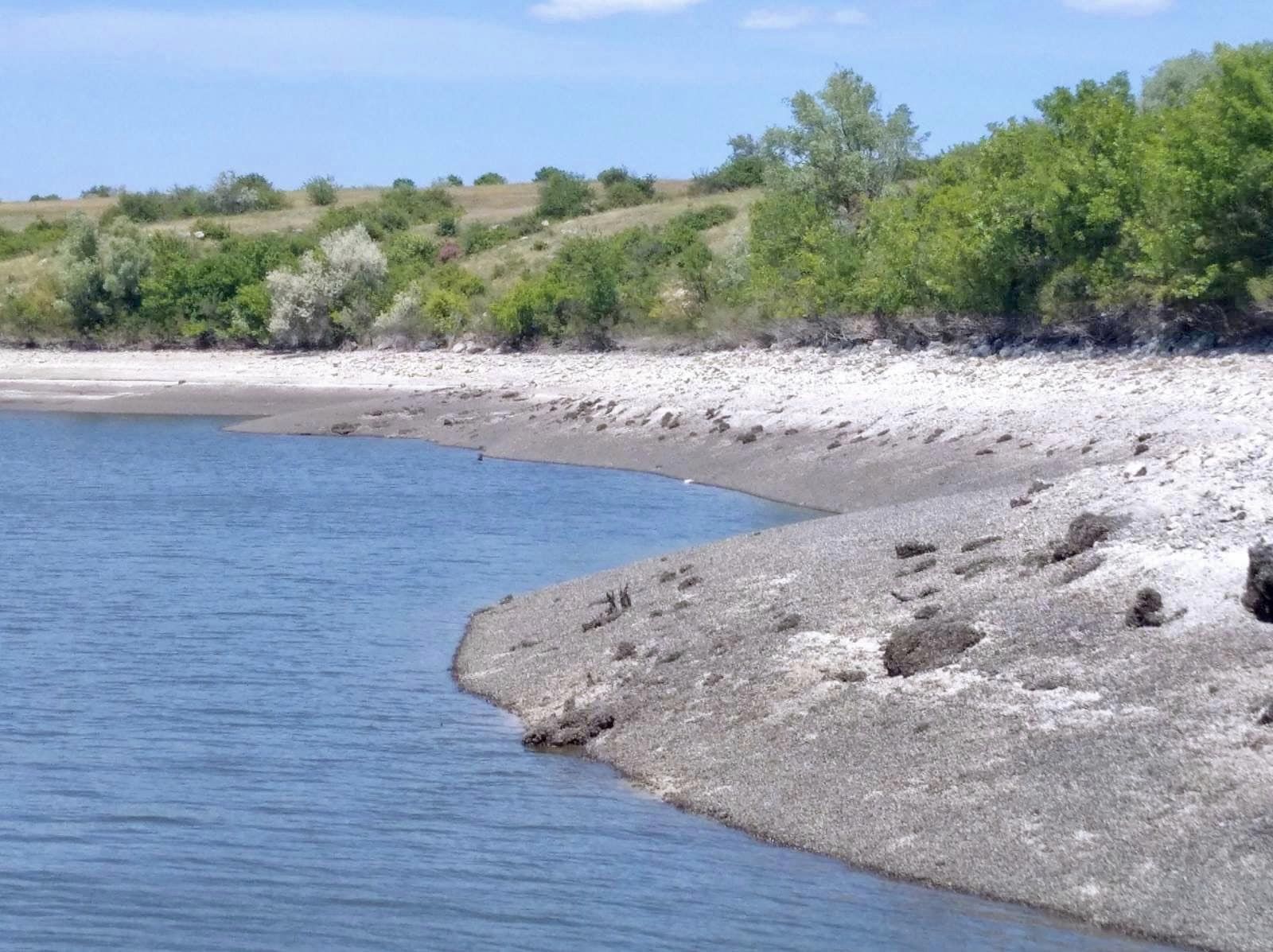 Так умирает природа Каховского водохранилища. В сети показали трагические фото