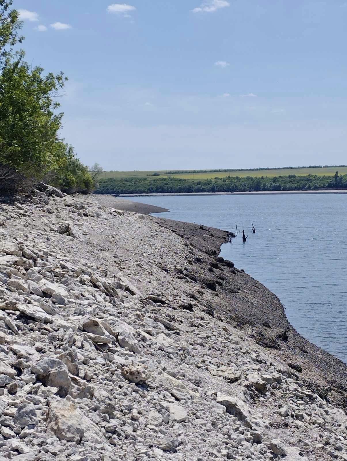 Так умирает природа Каховского водохранилища. В сети показали трагические фото