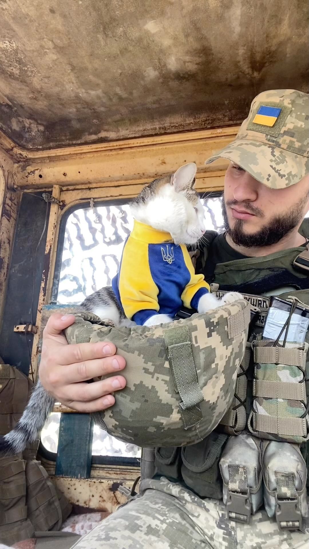 Искали три недели все военные: боевой кот Шайба вернулся к владельцу (фото)