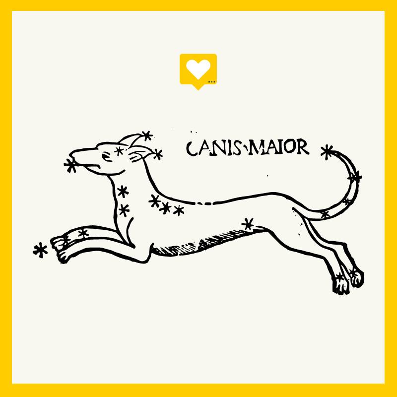 Звідки в українській мові взялося слово &quot;канікули&quot; та до чого тут собаки: пояснення філолога