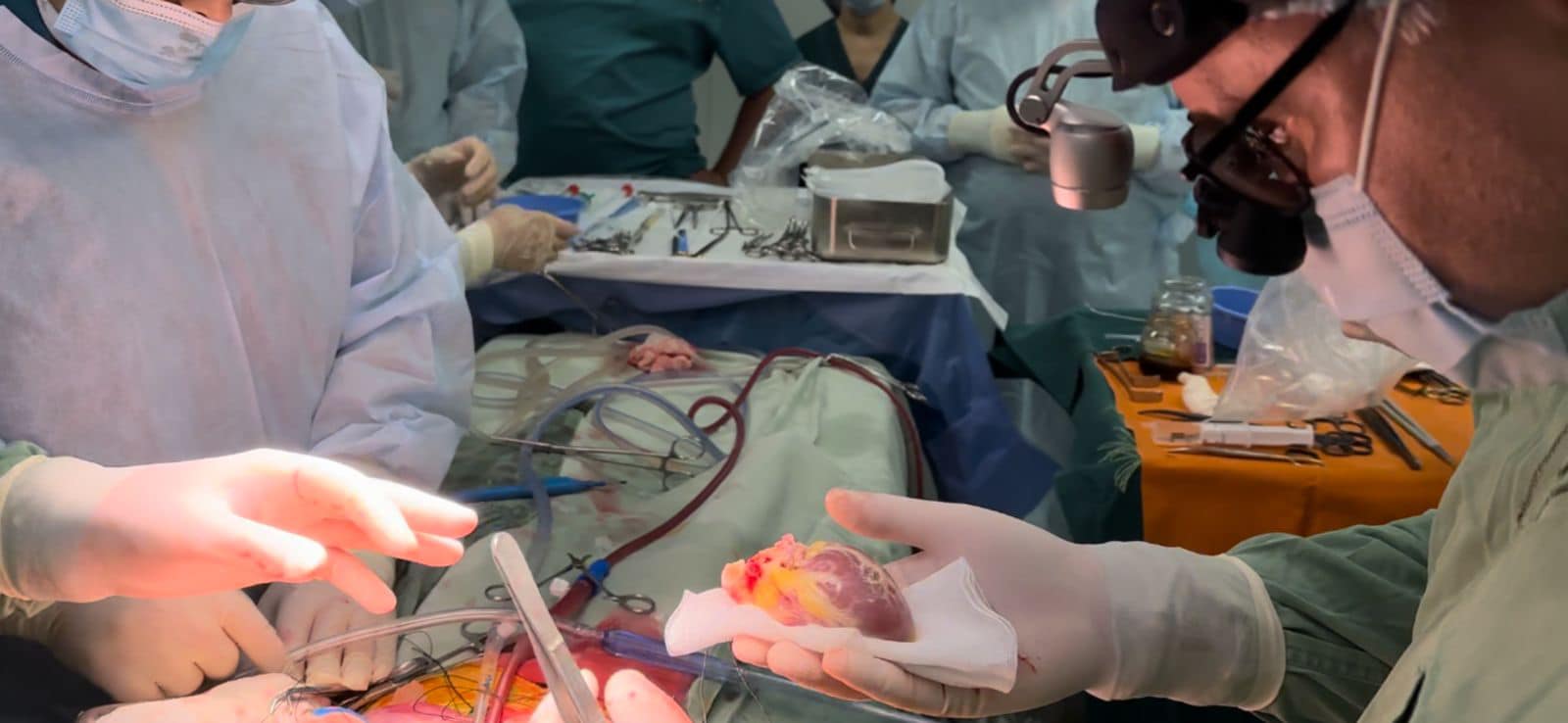В Україні дівчинці пересадили серце загиблого 4-річного хлопчика: деталі унікальної операції (фото)