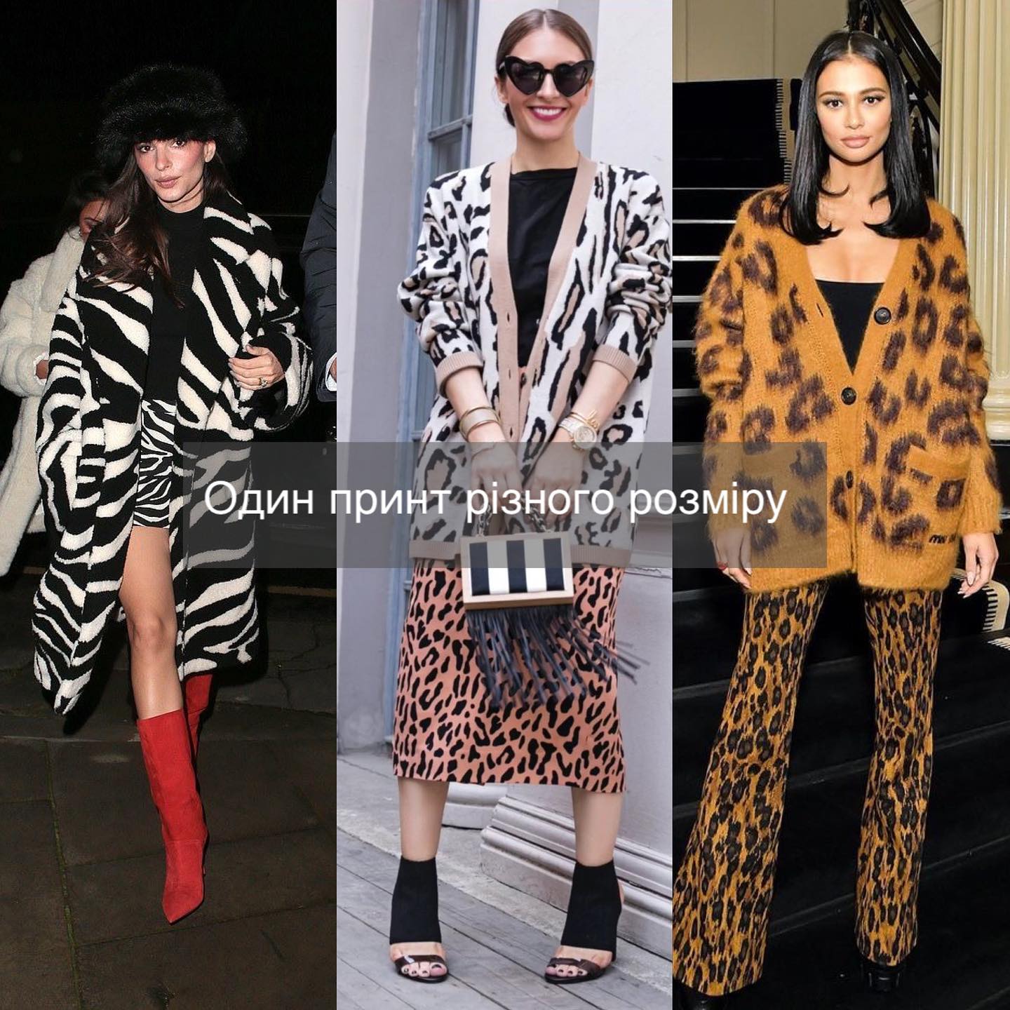 Смотрите, как совмещать принты одежды, чтобы выглядеть максимально стильно. 5 законов моды (фото)