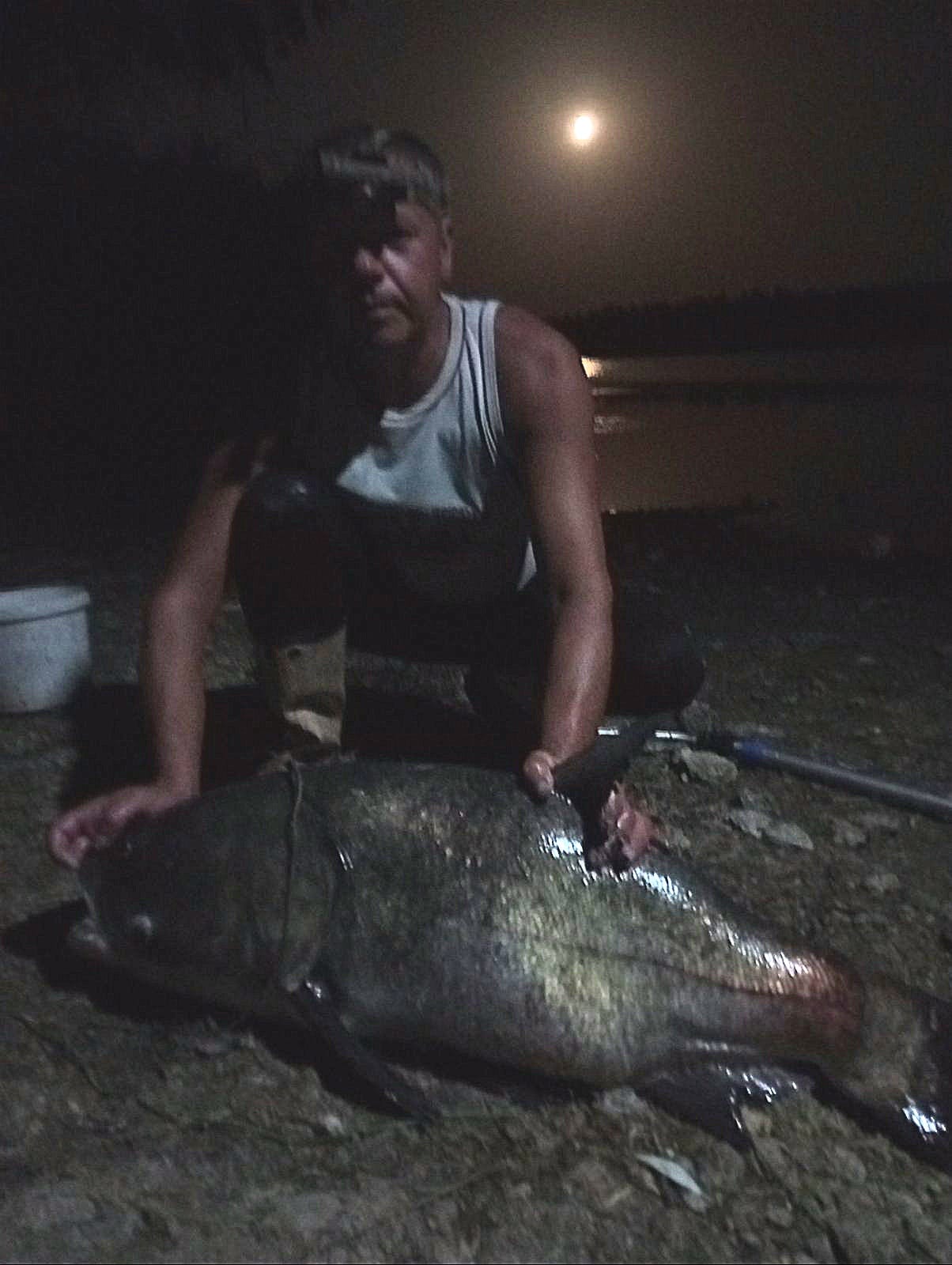 У Миколаївській області рибалка спіймав гігантську рибу вагою понад 20 кг: фото трофея