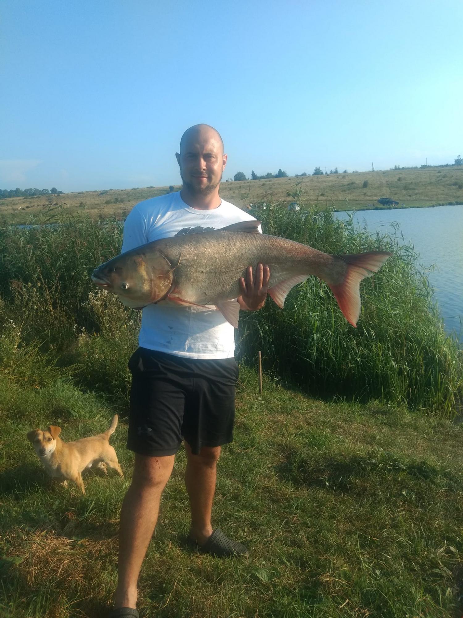 На Прикарпатті чоловік спіймав гігантську рибу: фото і відео трофея