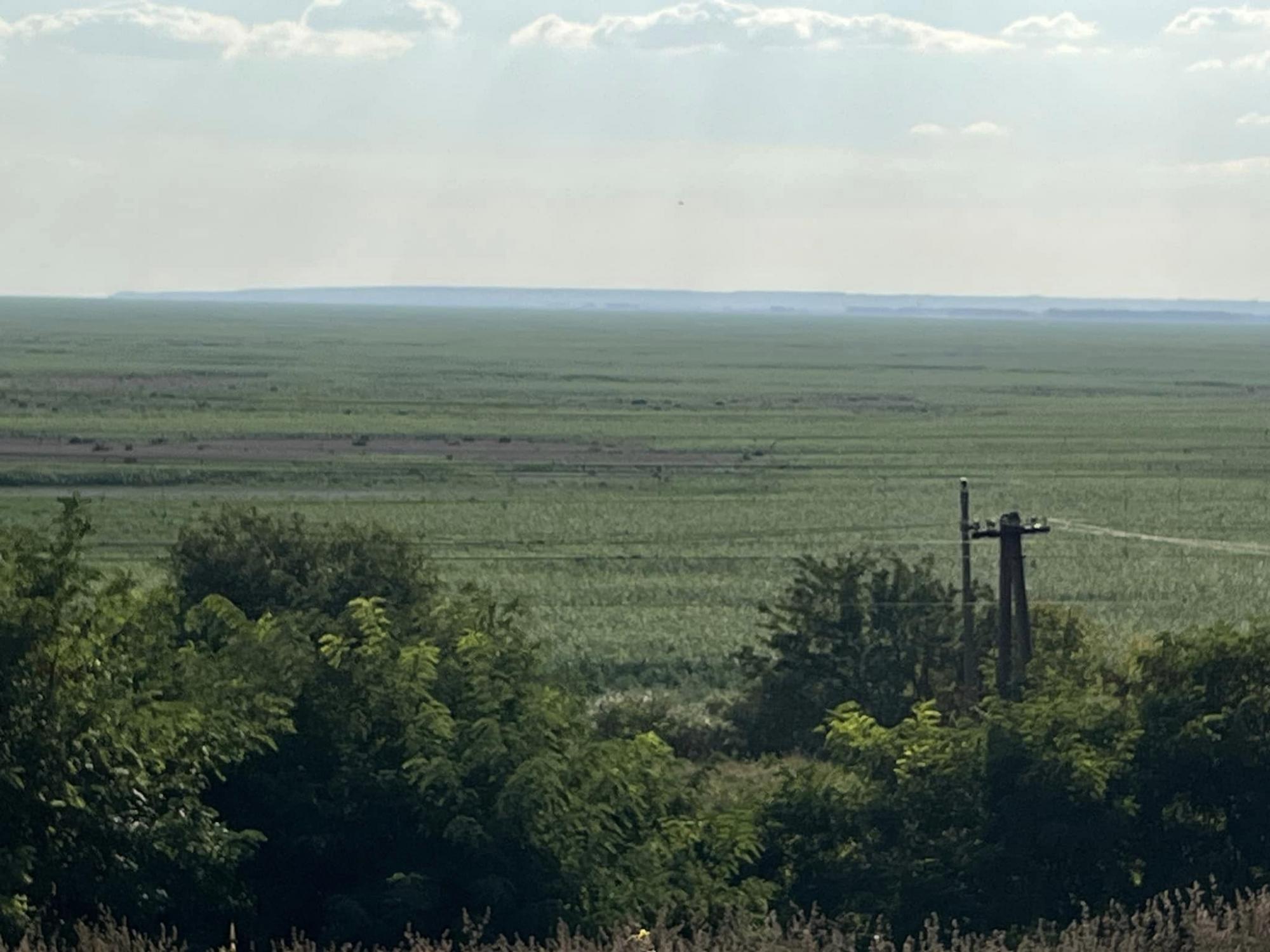 Зеленое бескрайнее &quot;поле&quot;. Смотрите, как сейчас выглядит Каховское водохранилище (фото и видео)