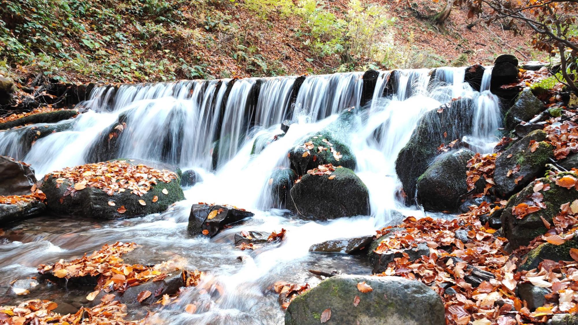 Осінь у Карпатах. Ідеальний дводенний маршрут для мандрівки у міжсезоння