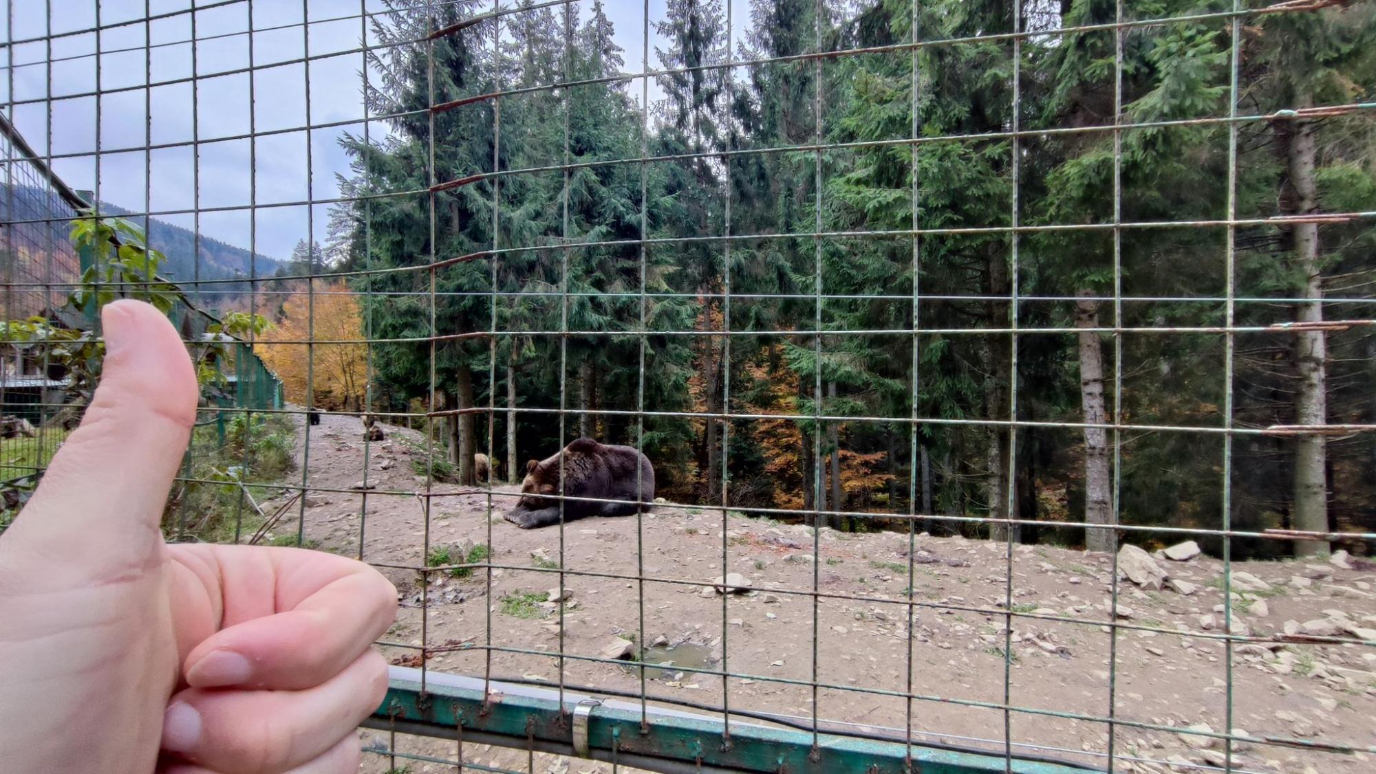 Осінь у Карпатах. Ідеальний дводенний маршрут для мандрівки у міжсезоння