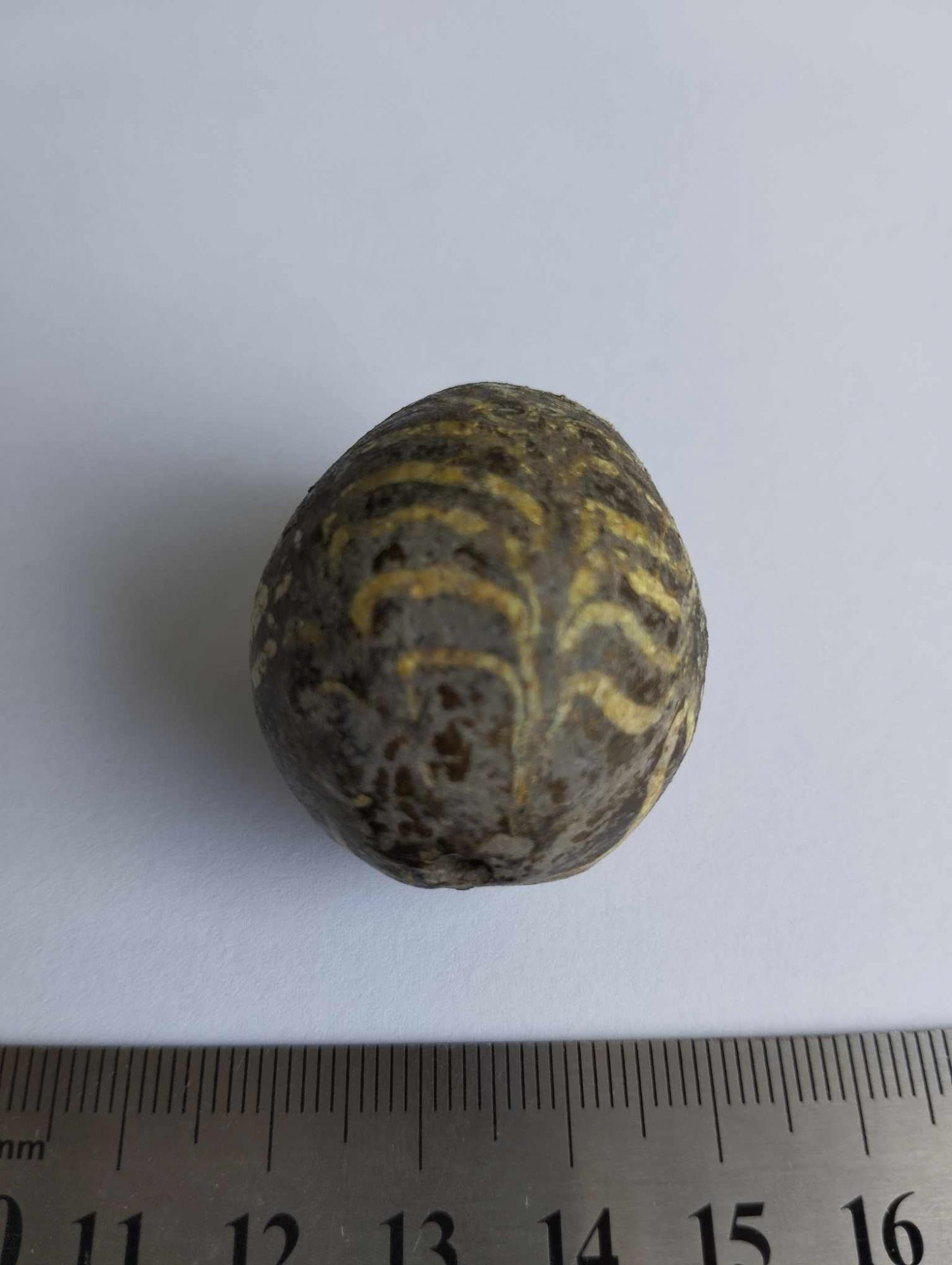 На Волыни мужчина копая огород случайно обнаружил писанку Х-ХІ века (фото)