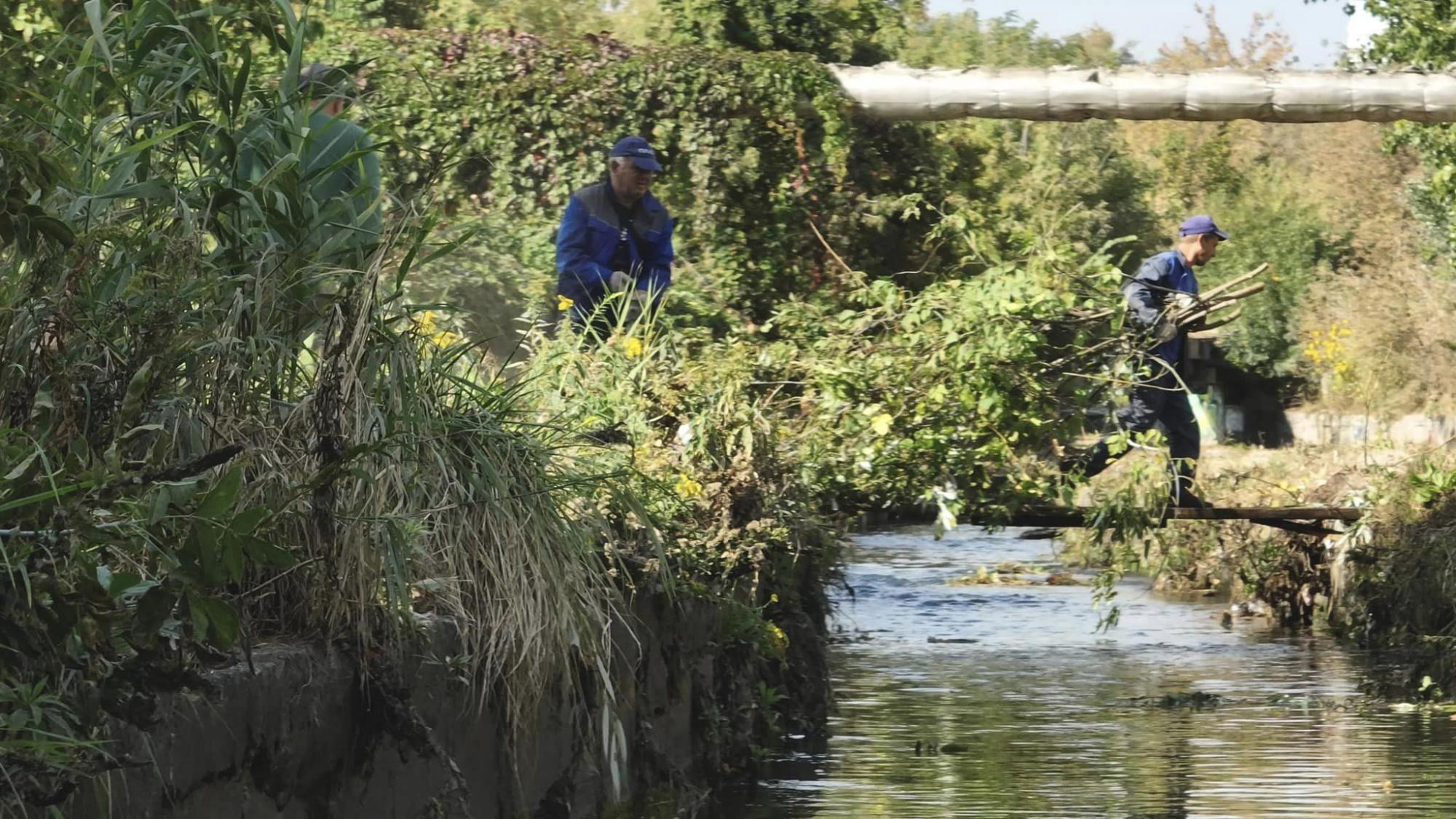 В Киеве спасают реку Лыбидь от загрязнения: что уже сделали активисты (фото)