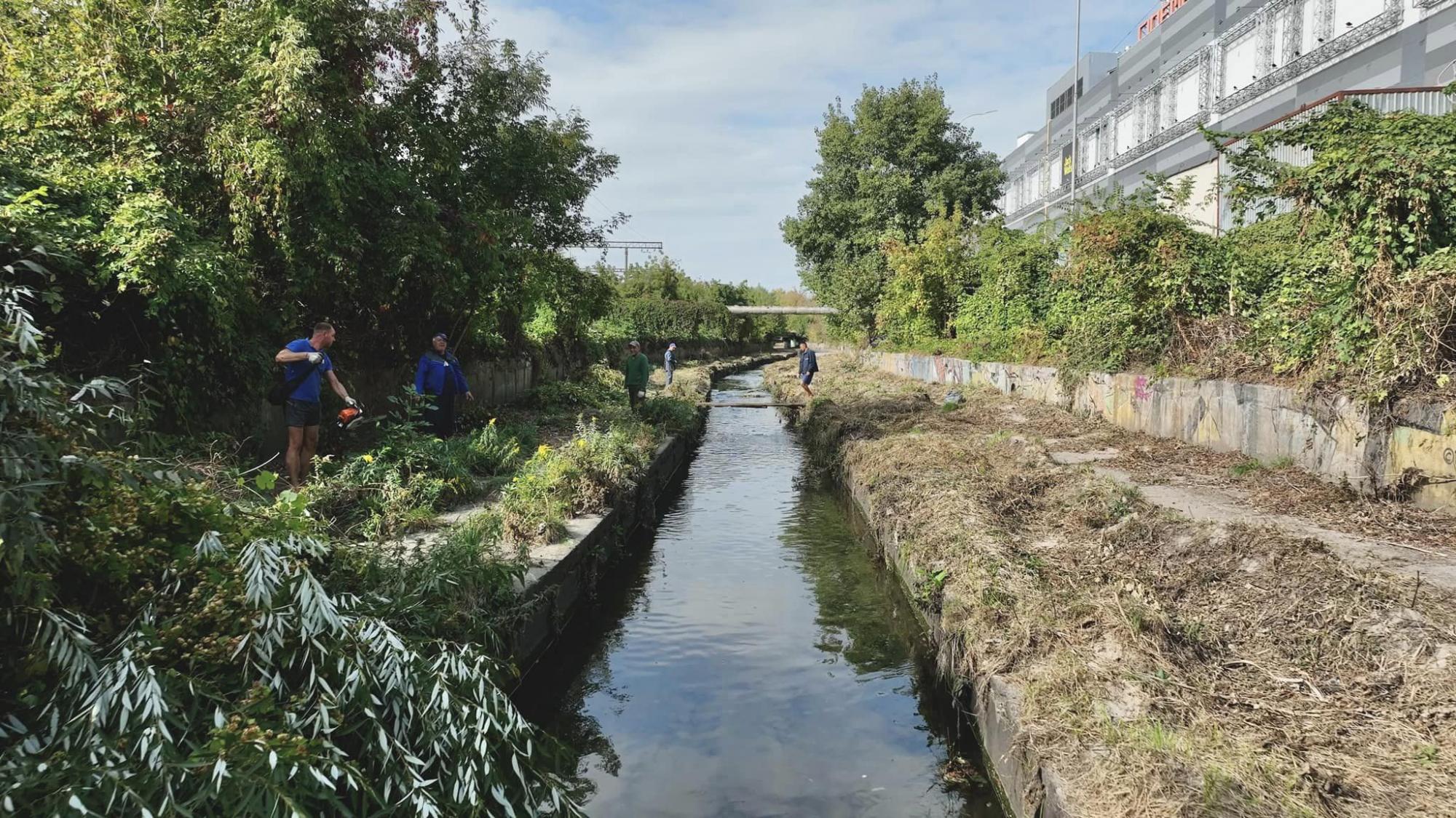 В Киеве спасают реку Лыбидь от загрязнения: что уже сделали активисты (фото)