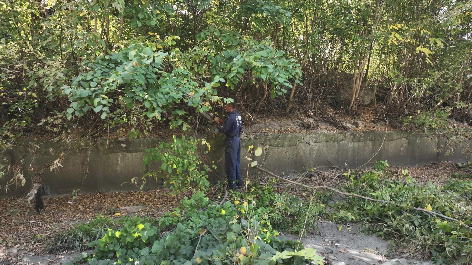 В Киеве спасают реку Лыбидь от загрязнения: что уже сделали активисты (фото)