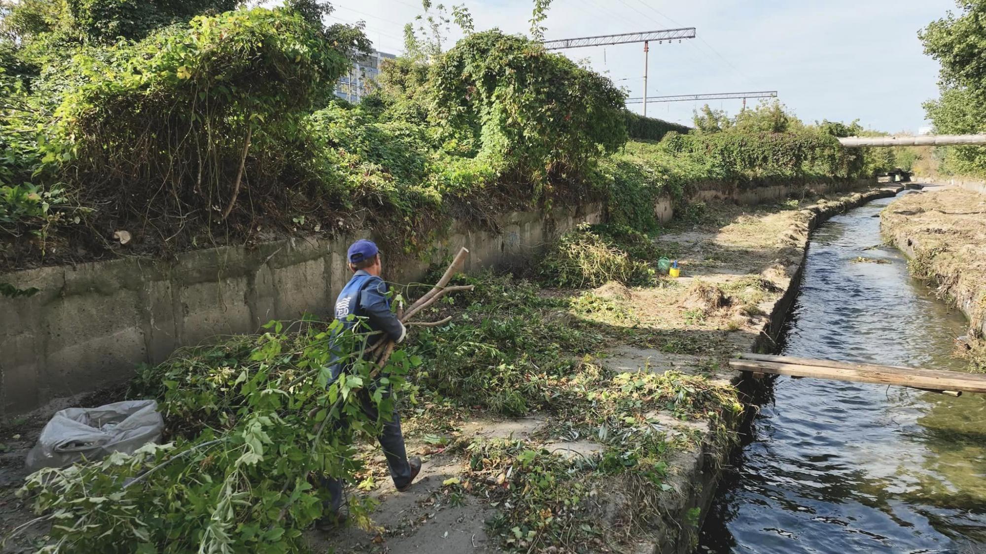 В Киеве спасают реку Лыбидь от загрязнения: что уже сделали активисты (фото)
