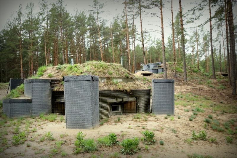 Ukraine turns Belarus border into fortified zone, readies to repel threats