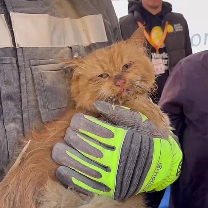&quot;Они знали, что война в любой момент может их разлучить&quot;. В Запорожье в результате атаки РФ погибла молодая пара