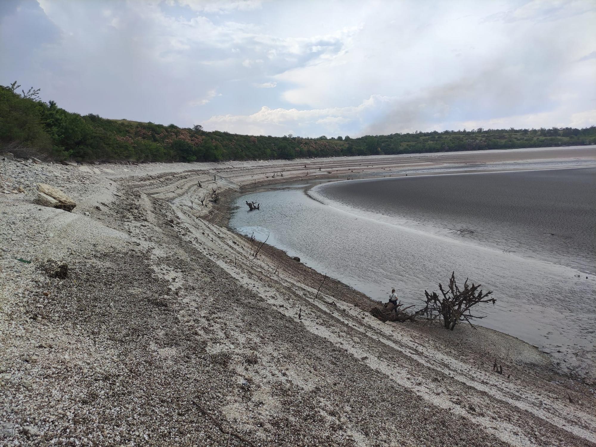 Дивіться, що зараз виросло на дні Каховського водосховища (фото, відео)