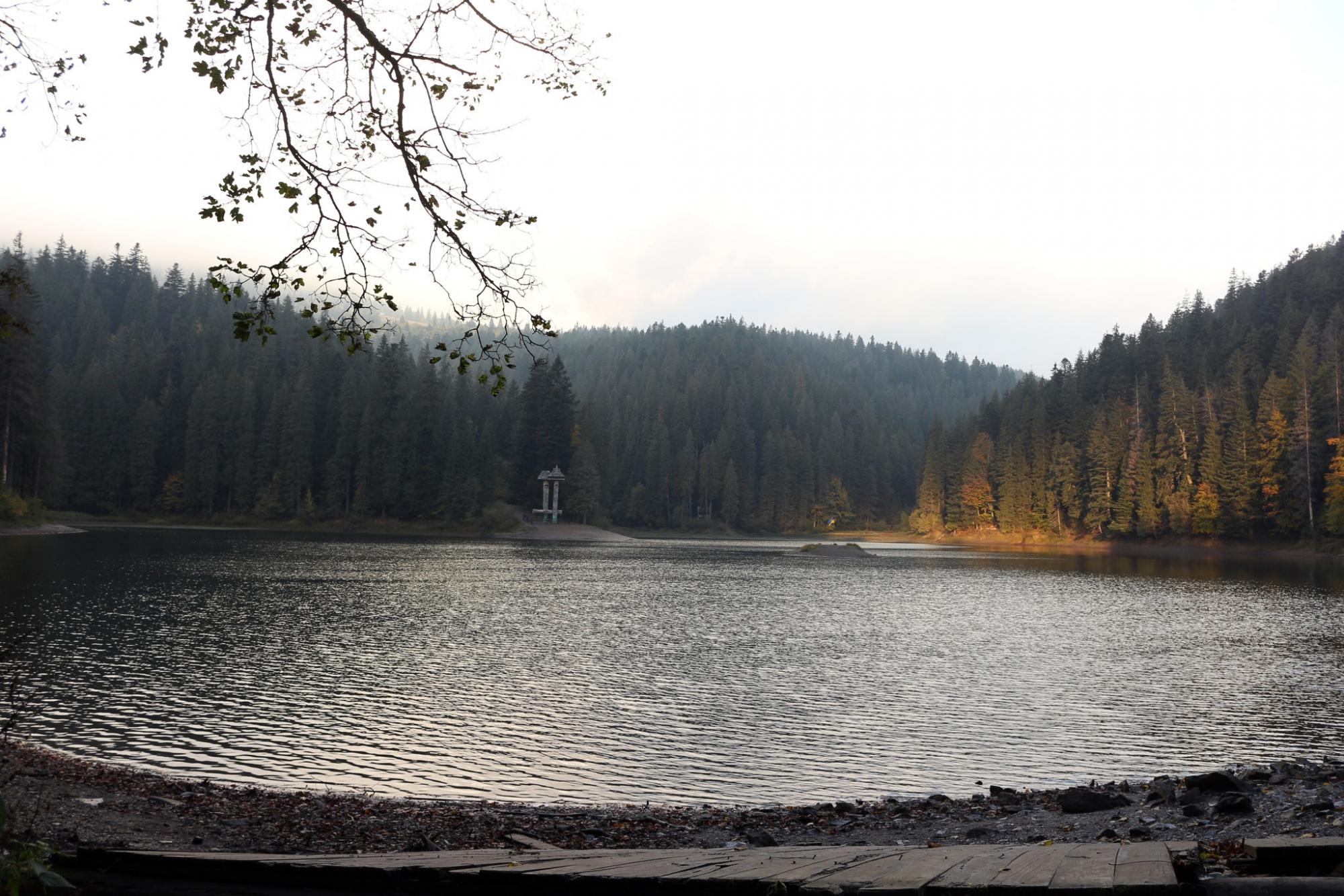 Різнобарвне листя вкрило дерева: як виглядають Карпати та озеро Синевир восени (фото)