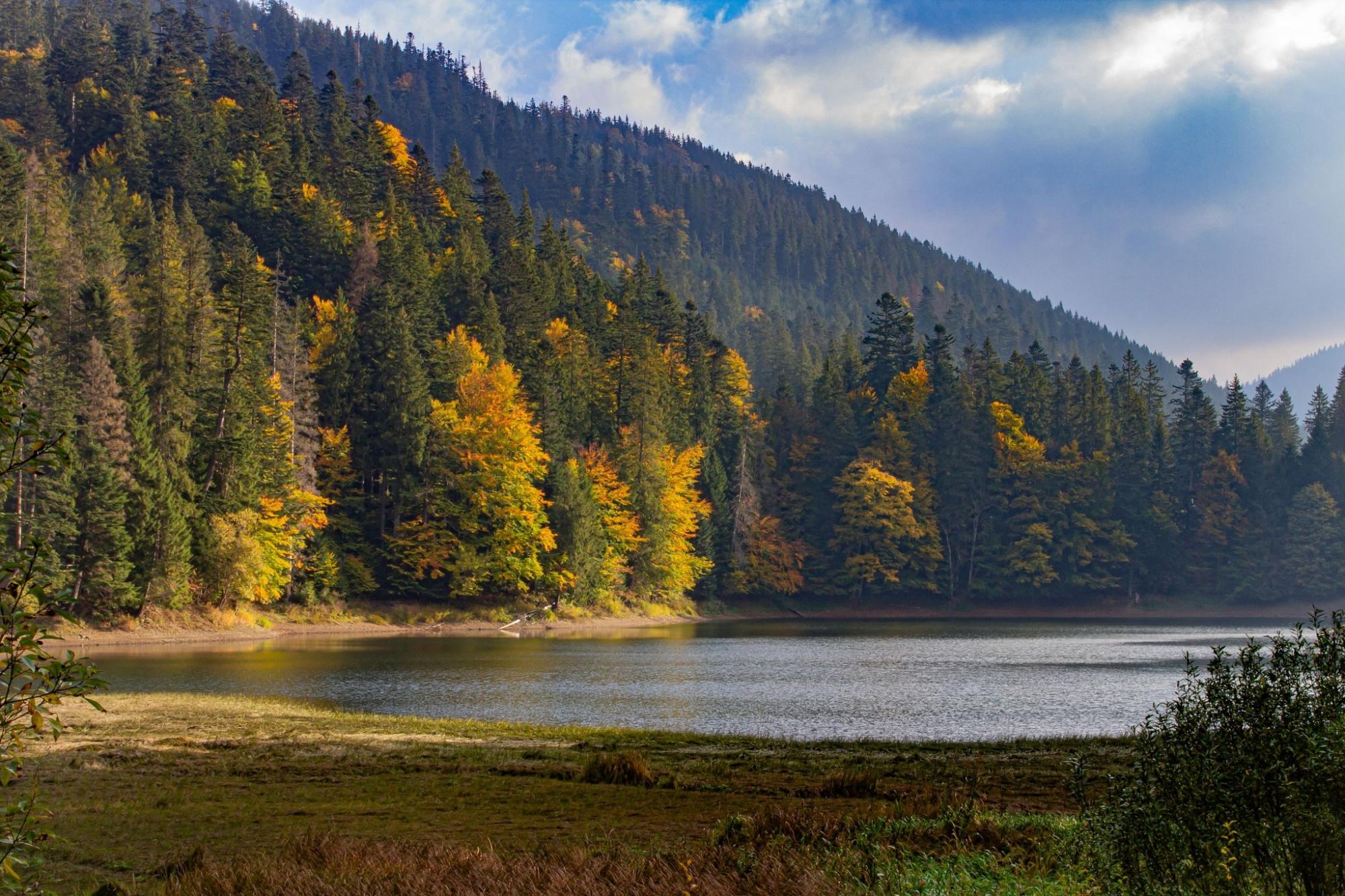 Різнобарвне листя вкрило дерева: як виглядають Карпати та озеро Синевир восени (фото)