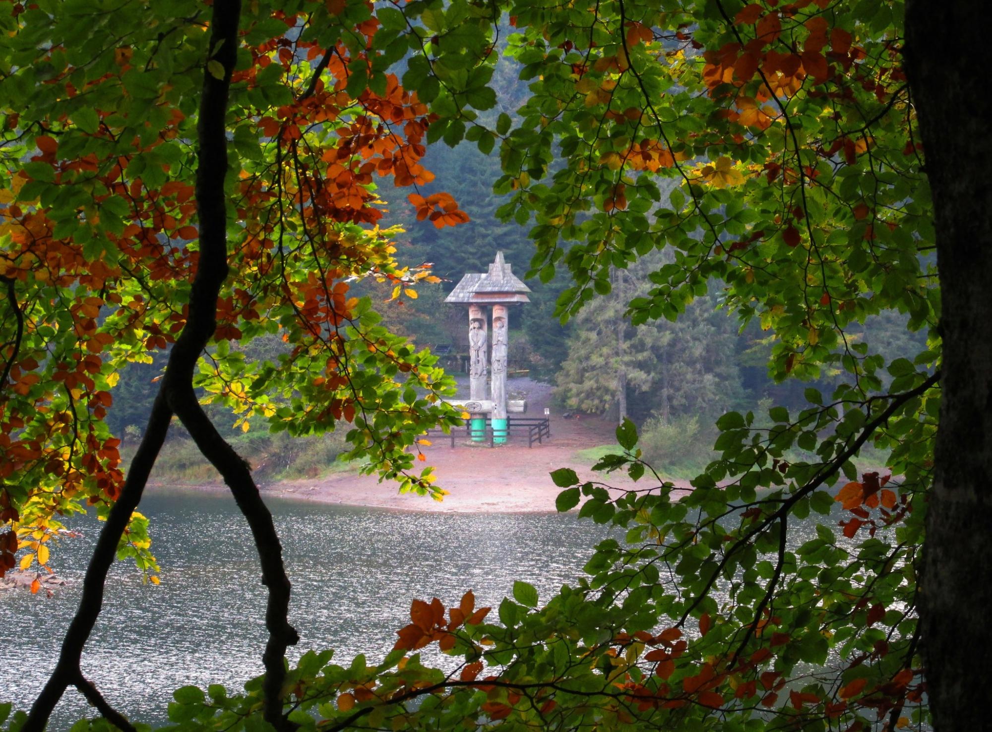 Різнобарвне листя вкрило дерева: як виглядають Карпати та озеро Синевир восени (фото)