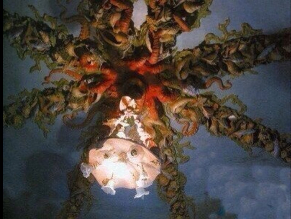 Не менее фантастический, чем снаружи. Смотрите, как выглядит дом с химерами внутри (фото)