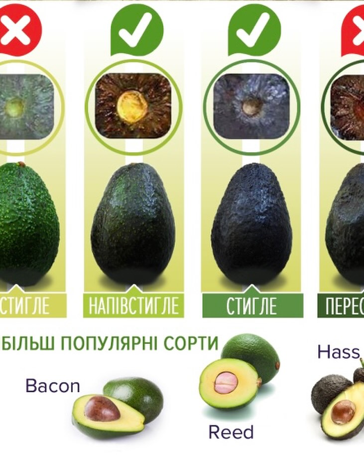 Швидко псуються: які сорти авокадо не варто купувати в Україні