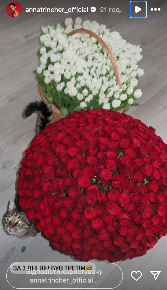 Тринчер похвасталась роскошным подарком от загадочного поклонника (фото)