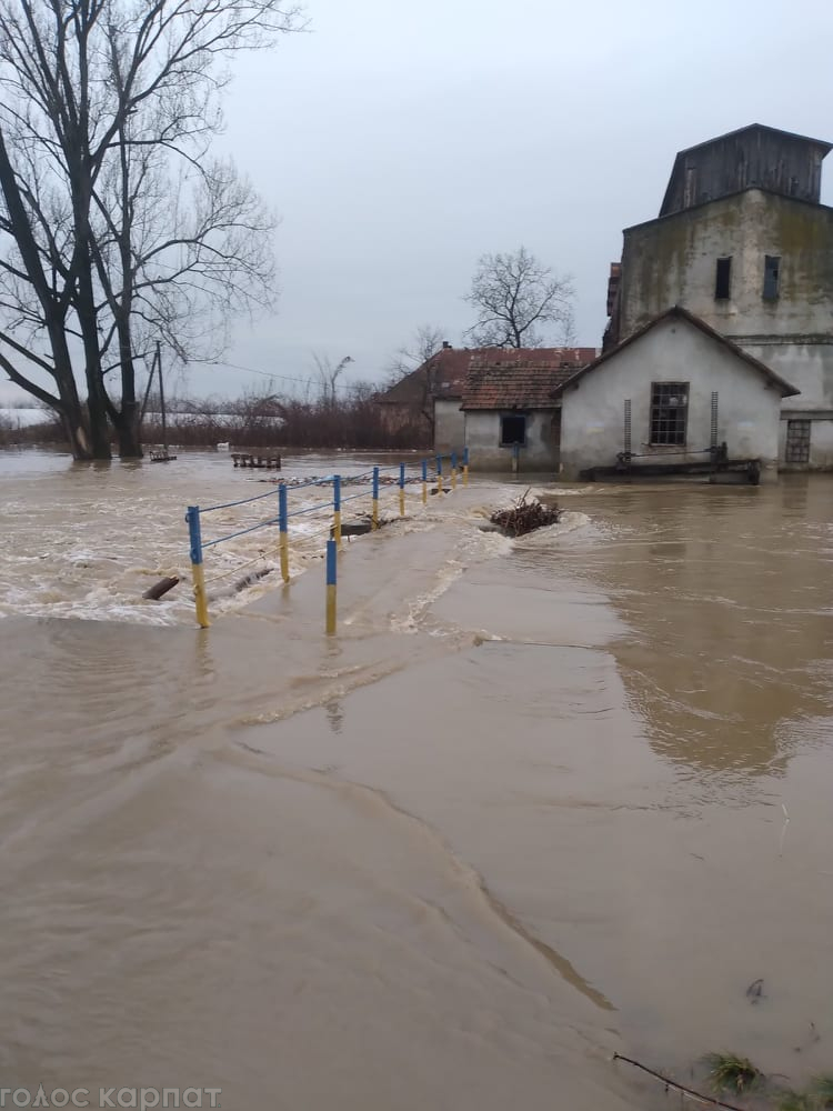 На Закарпатье затопило село, а река Тиса подступает к Виноградову (видео, фото)